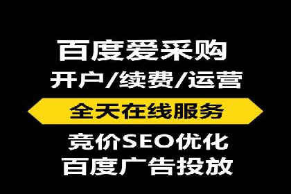 百度SEO推广公司案例分析：成功案例解析